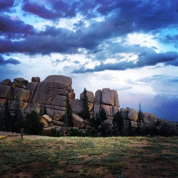 Meet your Posher, Sarajane - Picture 1 of 1